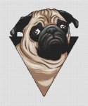 (image for) Cartoon Pug